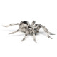 Tarentule figurine d'araignée PAPO 50190
