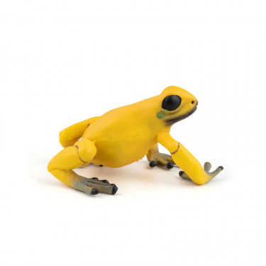 Grenouille équatoriale jaune, figurine PAPO 50174