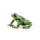 Grenouille équatoriale verte, figurine PAPO 50176