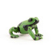 Grenouille équatoriale verte, figurine PAPO 50176