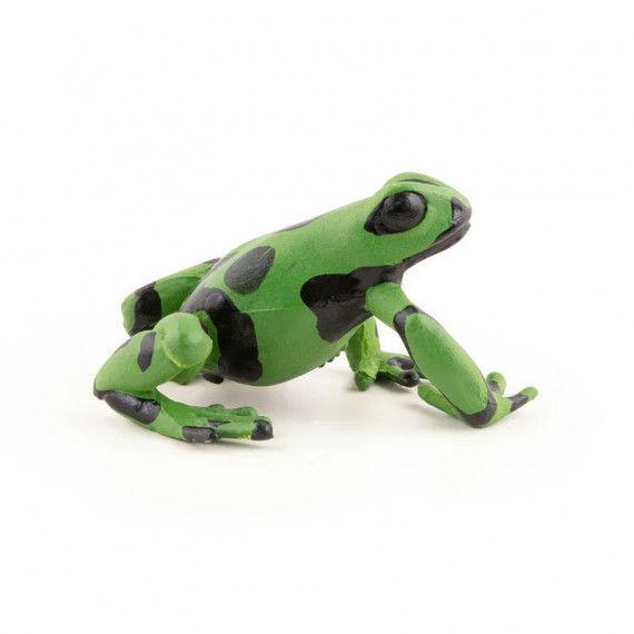 Grenouille équatoriale verte, figurine PAPO 50176