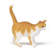 Chat roux, figurine PAPO 54031
