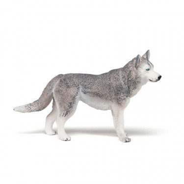 Husky de Sibérie, figurine PAPO 54035