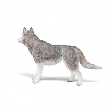 Husky de Sibérie, figurine PAPO 54035