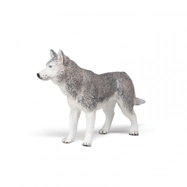 Husky de Sibérie, figurine PAPO 54035