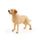 Labrador, figurine PAPO 54029