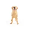 Labrador, figurine PAPO 54029