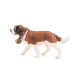 Saint-Bernard au tonneau, figurine PAPO 54009