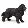 Chien Terre-neuve, figurine PAPO 54018