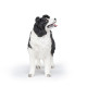 Border collie, figurine PAPO 54008