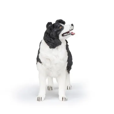 Border collie, figurine PAPO 54008