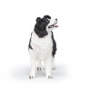 Border collie, figurine PAPO 54008