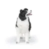 Border collie, figurine PAPO 54008