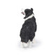 Border collie, figurine PAPO 54008