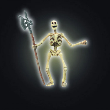 Squelette PAPO 38908