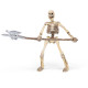 Squelette PAPO 38908