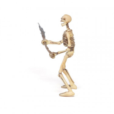 Squelette PAPO 38908