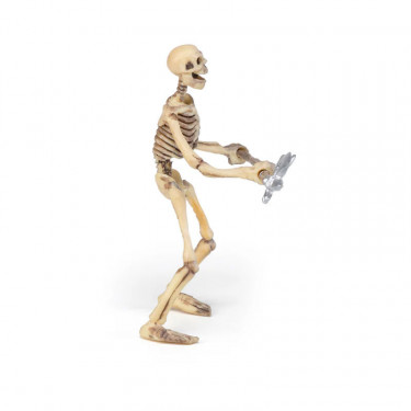 Squelette PAPO 38908