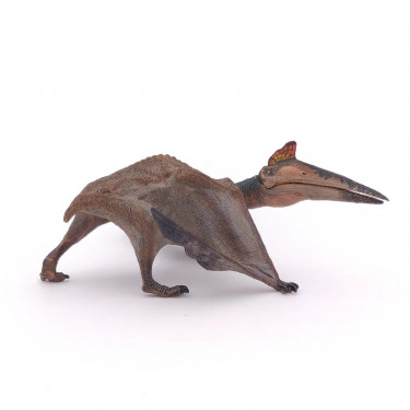 Quetzalcoatlus, dinosaure PAPO 55073