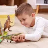 Ceratosaurus, dinosaure PAPO 55061