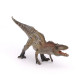 Acrocanthosaurus, dinosaure PAPO 55062
