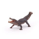 Kaprosuchus dinosaure PAPO 55056