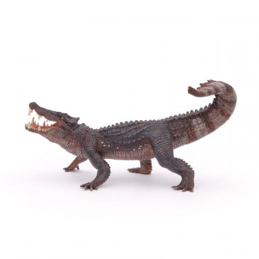 Kaprosuchus dinosaure PAPO 55056
