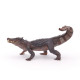Kaprosuchus dinosaure PAPO 55056