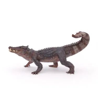 Kaprosuchus dinosaure PAPO 55056