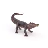 Kaprosuchus dinosaure PAPO 55056
