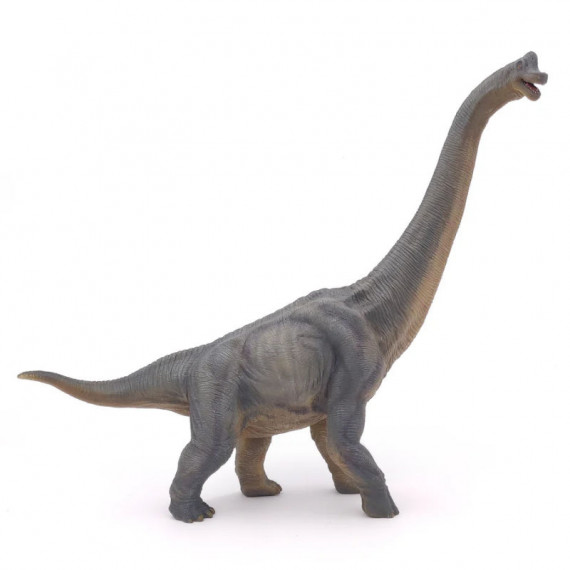 Brachiosaure PAPO 55030