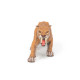 Smilodon, figurine PAPO 55022