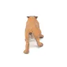 Smilodon, figurine PAPO 55022