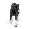 Etalon Shire noir, figurine PAPO 51517
