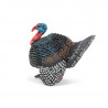 Dindon sauvage, figurine PAPO 51195