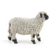 Mouton nez noir du Valais, figurine PAPO 51194