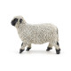 Mouton nez noir du Valais, figurine PAPO 51194
