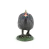 Pintade, figurine PAPO 51191