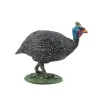 Pintade, figurine PAPO 51191