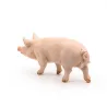 Verrat, figurine PAPO 51044