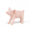 Cochonnet femelle, figurine PAPO 51136