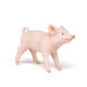 Cochonnet femelle, figurine PAPO 51136