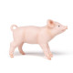 Cochonnet femelle, figurine PAPO 51136