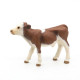 Veau simmental, figurine PAPO 51134
