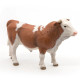 Taureau simmental PAPO 51142
