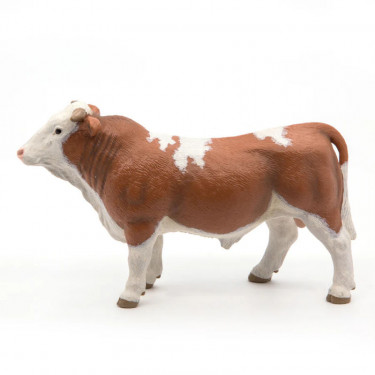 Taureau simmental PAPO 51142