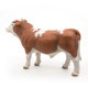 Taureau simmental PAPO 51142