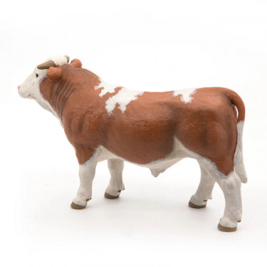 Taureau simmental PAPO 51142