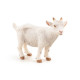 Chevreau blanc, figurine PAPO 51146