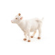 Chevreau blanc, figurine PAPO 51146